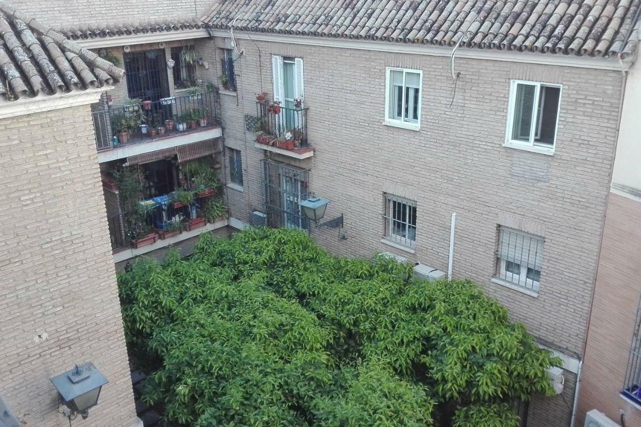 סביליה Alfalfa Home מראה חיצוני תמונה